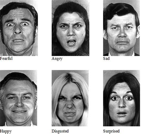 Development Of Facial Expressions Fasrplace