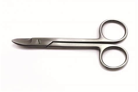 Crown And Collar Scissors Tiger Supply Inc