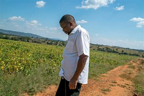 ‘no one is safe zimbabwe threatens to seize farms of party defectors the new york times