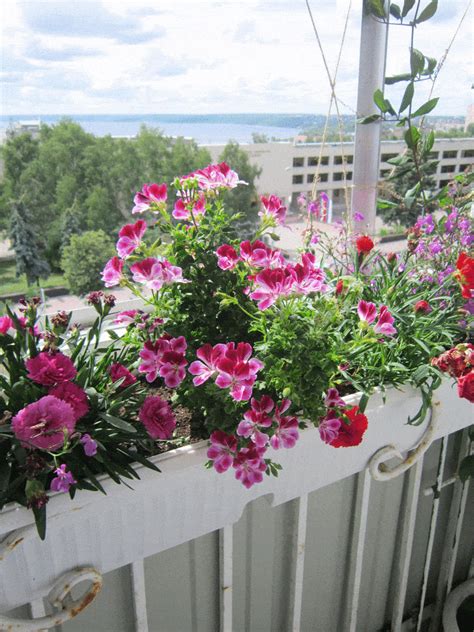 30 Stunning Balcony Garden Ideas That Will Inspire You