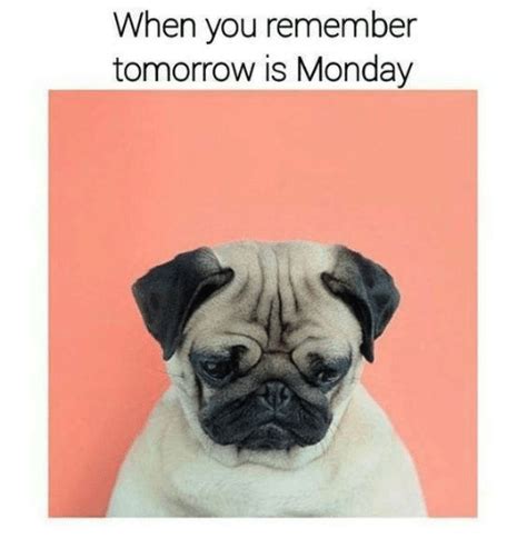When You Remember Tomorrow Is Monday Mondays Meme On Meme