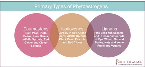 Phytoestrogens in the Body How Soy Interferes with Natural Hormone