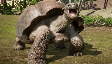 A zoo (short for zoological garden; Planet Zoo Interview: Creating Cutting-Edge Animals ...