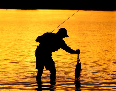 Oito Dicas Para Sua Próxima Pescaria Revista Pesca And Companhia