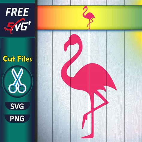 Flamingo Silhouette Svg Free Flamingo Svg For Cricut