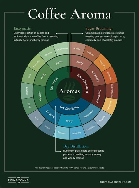 An Abridged Version Of The Coffee Tasting Wheel Where We Break Down