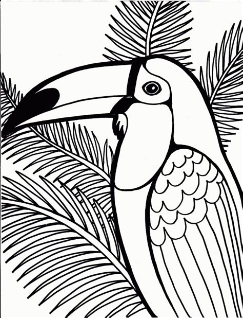 Parrot Coloring Pages Images Animal Place