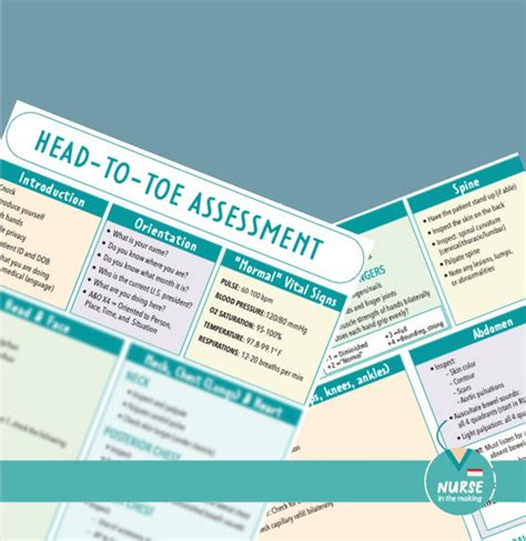 Head To Toe Assessment Guide Nursing Students Health Etsy Nursing