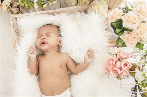 Little Baby Girl Sleeping Comfy Fur Blanket Stock Photos Free