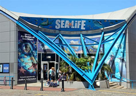 National Sea Life® Centre Birmingham Birmingham Tickets And Tours Book Now