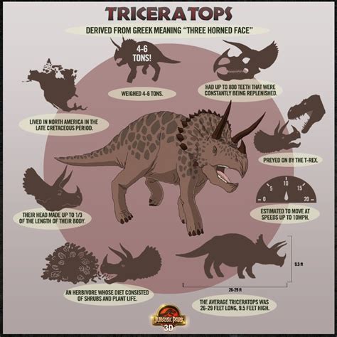 Triceratops One Of My Favourites Dinosaurs Dinosaur Facts