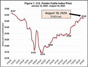 The 2020 U S Beef Cattle Market And Current Economic Conditions