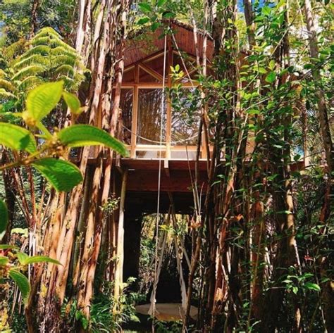 15 Amazing Treehouse Hotels And Lodges For A Terrific Eco Friendly Stay