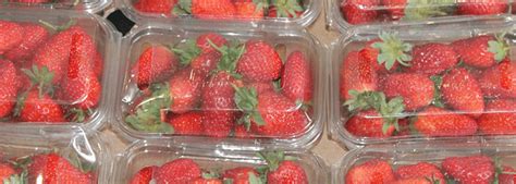 Food packaging containers are used to keep our food safe, fresh, and easy to manage. Types of Plastic Food Packaging and Safety: A Close-Up Look