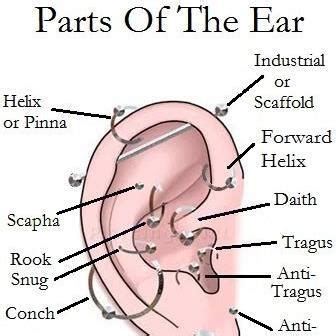 When i first got my piercings, it really helped to use a travel pillow when i slept. I am under 18 and want to get a piercing done at a tattoo ...