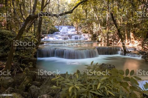 Tropical Deep Rainforest Waterfall Fresh Turquoise Waterfalls In Deep