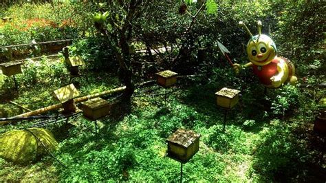 These honey bee farms were established to produce honey. Ee Feng Gu Bee Farm (Brinchang, Malaysia): Top Tips Before ...