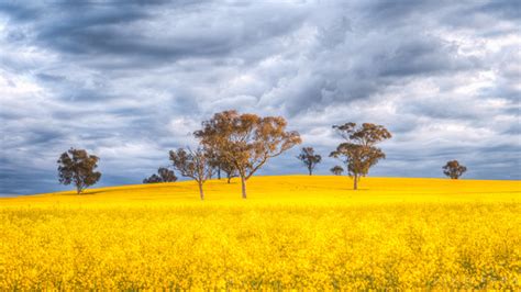 David Roma Photography Landscapes Golden Hour Hill Cowra Nsw