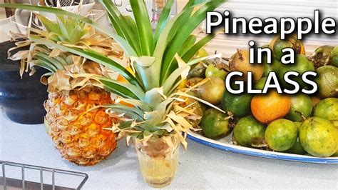 Pineapple Fruit Tree Stand Pin By Jennifer Clark On Party Ideas