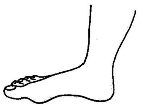 Download High Quality Feet Clipart Black And White Transparent Png