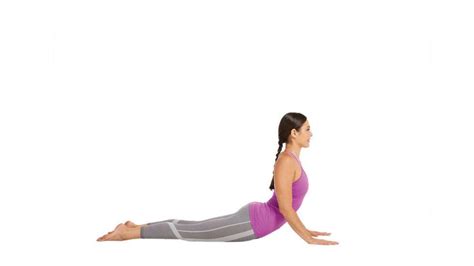 Bhujangasana Cobra Pose Steps Benefits And Precautions