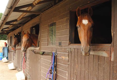 Horse Riding Stables Prepare To Reopen For Private One To One Lessons