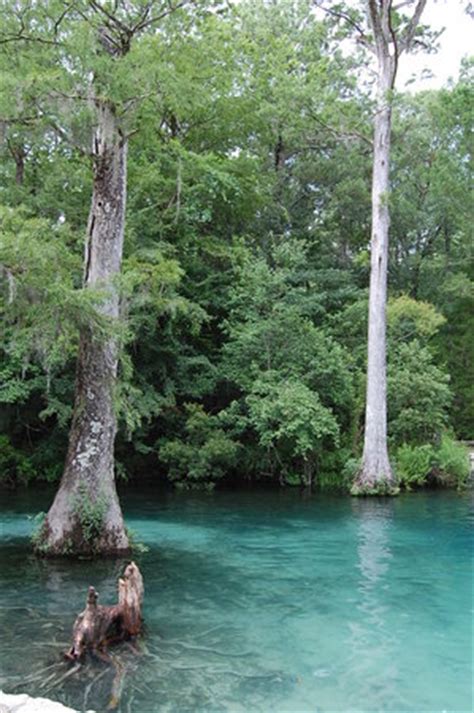 Wikimedia commons has media related to ponce de leon springs state park. Ponce de Leon Springs State Park - 2021 All You Need to ...