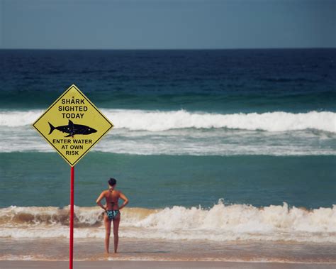 Is Open Water Swimming Dangerous Learn How To Avoid Dangers