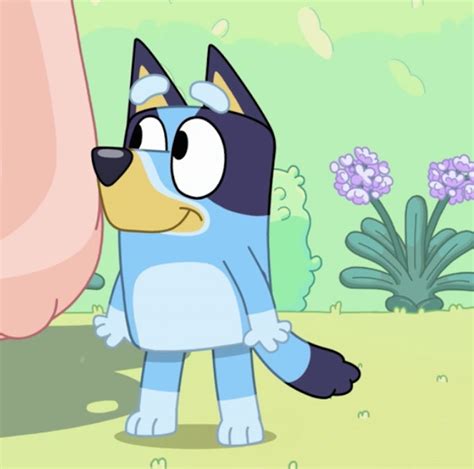 bluey characters everything you need to know about the voice cast