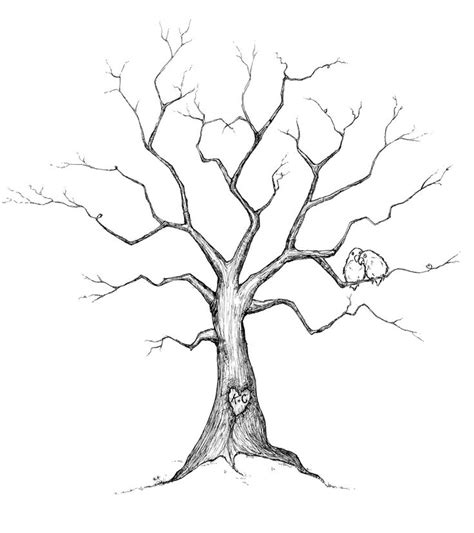 This type of image can be used to modify and color it as you like, since if you work with photoshop, with the magic wand tool you select everything black, and then paint it as you want. Simple Family Tree Drawing at GetDrawings | Free download
