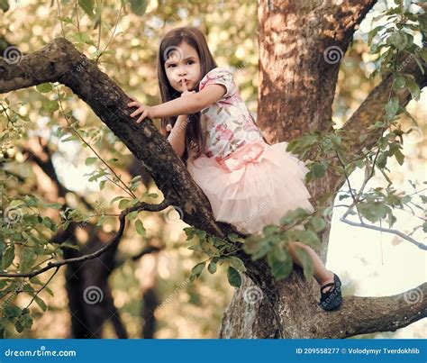 Little Girl Climb Tree In Garden Childhood Lifestyle Stock Image