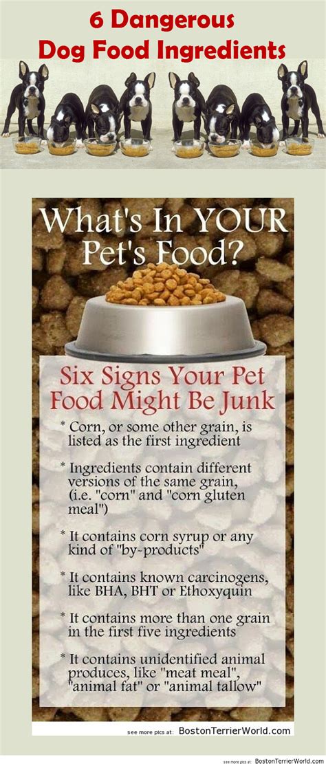 Most of the grains used are purchased from family farms we've worked with for over 83 years. 6 Dangerous Dog Food Ingredients | Dog food recipes ...