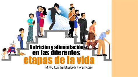 Nutrici N Etapas De La Vida By Lupitha Elizabeth Flores Rojas Issuu