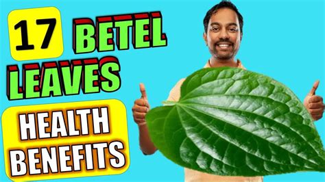 17 Amazing Benefits Of Betel Leaves Paan Leaves Nobody Told You