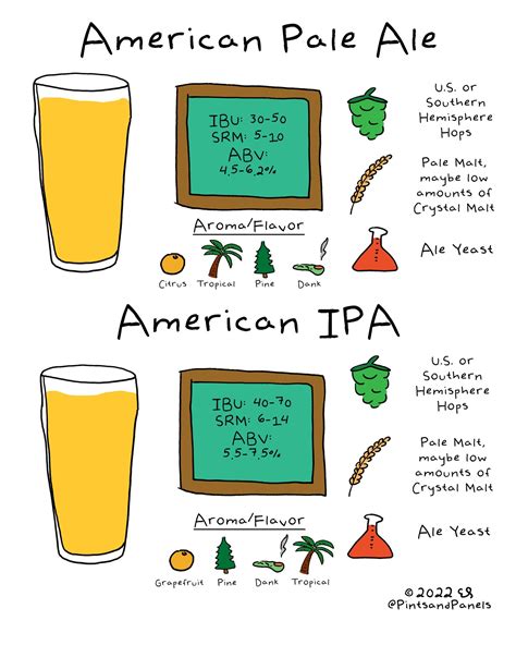 American Pale Ale Vs Ipa Beer Style Simple — Pints And Panels