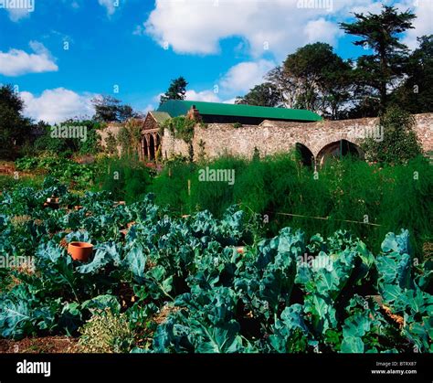 Glin Castle Co Limerick Ireland 18th Century Castles Walled Garden