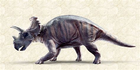 New Horned Dinosaur Species Called Most Striking Ever Discovered
