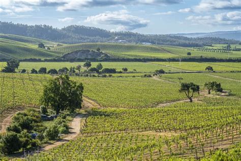 Chilean Wine Country: Regional Guide & Wineries To Visit • Winetraveler