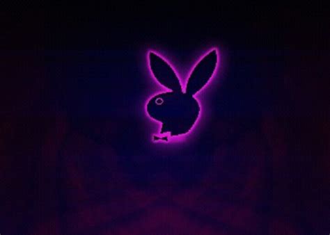 Pin on Bunny love