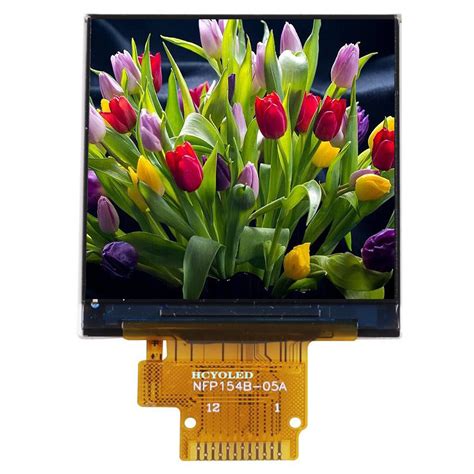 Compact 154 Inch Display With 240240 High Resolution Color Tft Lcd
