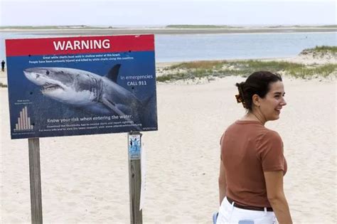 New York Officials Using Drone Surveillance For Sharks After Rockaway
