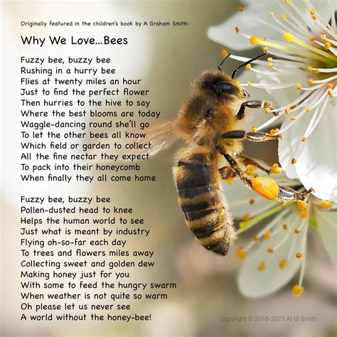 Why We Love Bees A Poem For Children Of All Ages