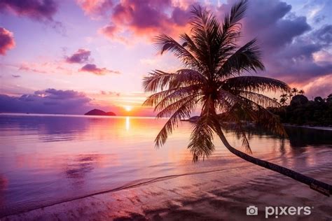 Beautiful Bright Sunset On A Tropical Paradise Beach Wall