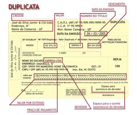 définition duplicata les duplicatas pluriel Brilnt