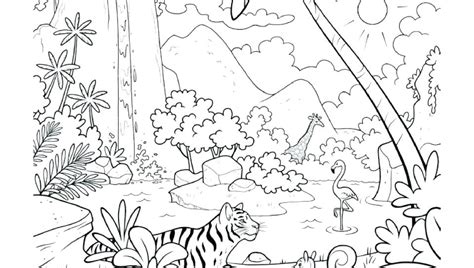 A large collection of coloring pages, where you can choose your favorite images, print them or download them. Tropical Rainforest Animals Coloring Pages at GetColorings ...