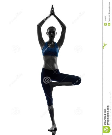 Woman Exercising Tree Pose Yoga Stock Photo Image Of Pose Joined