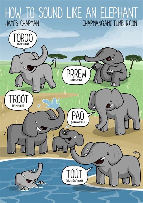 Sounds Elephants Make In Different Languages Bilingual Kidspot