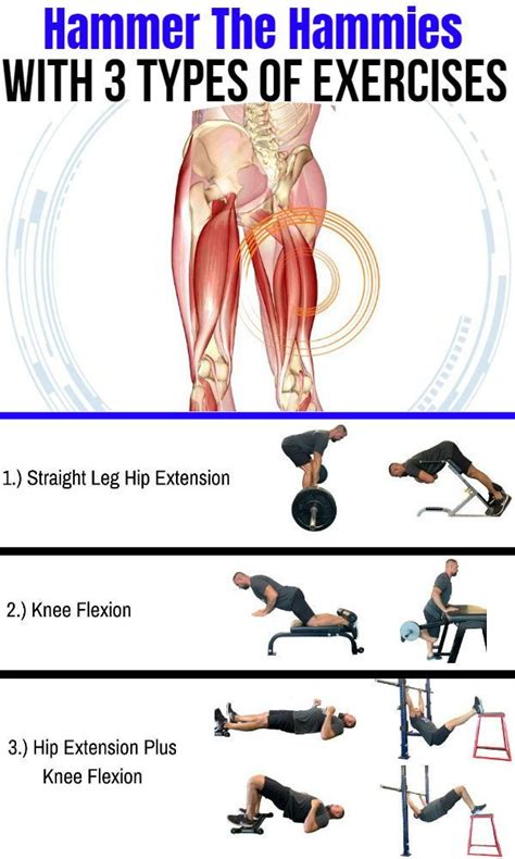 Will 4 Exercises Build And Strengthen Glutes And Hamstrings Yes We