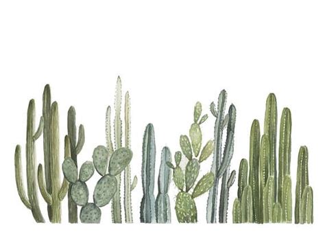 25 X 30 Largest Size 125 Row Of Cactus Print Cactus Painting