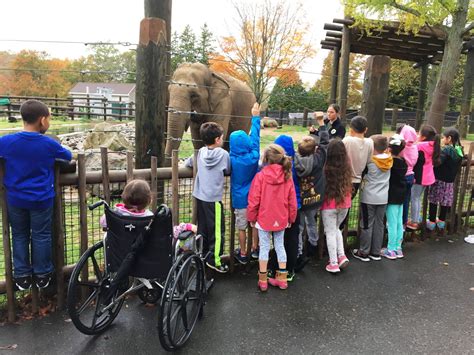Students Visit Zoo Thanks To Private Donor Buttonwood Park Zoo